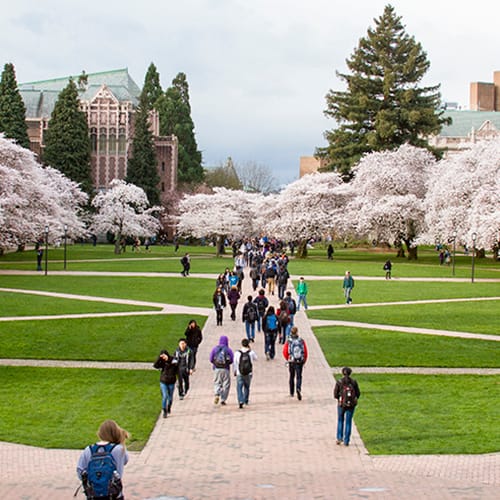 Top 10 Best schools and colleges in US