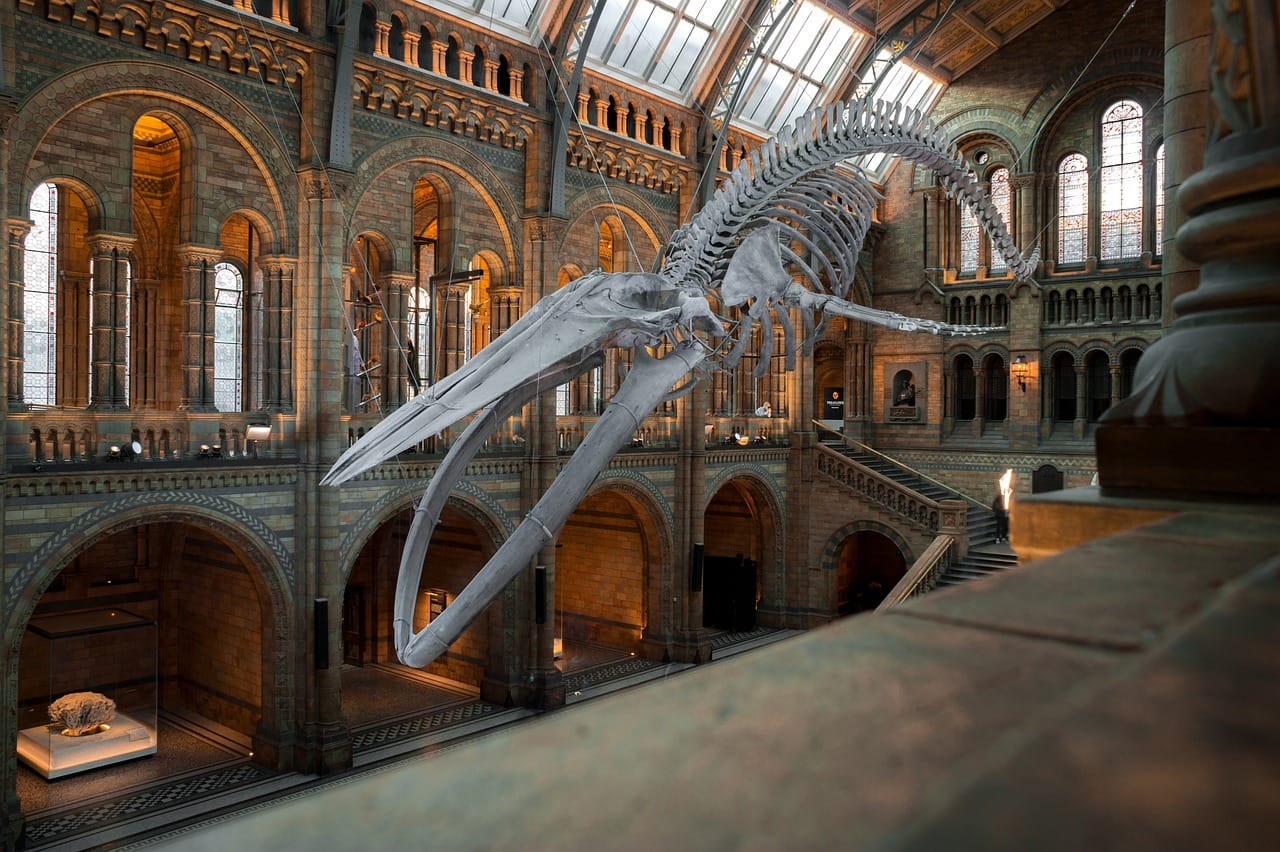 Best Museums in Usa2