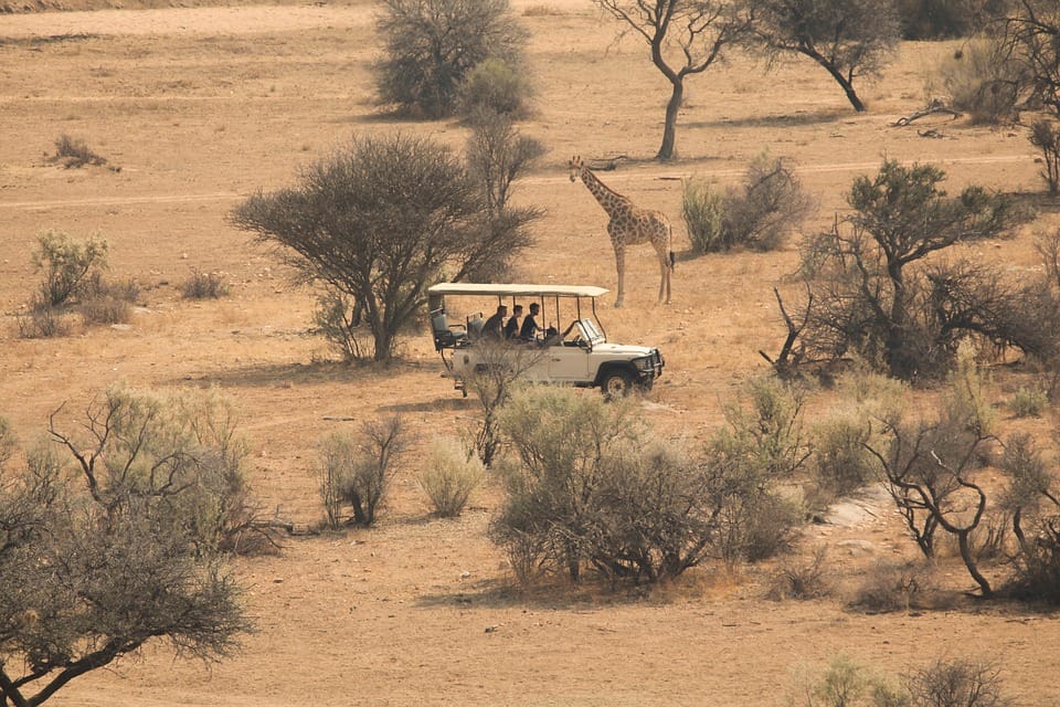 Best zoo safari in the world 1